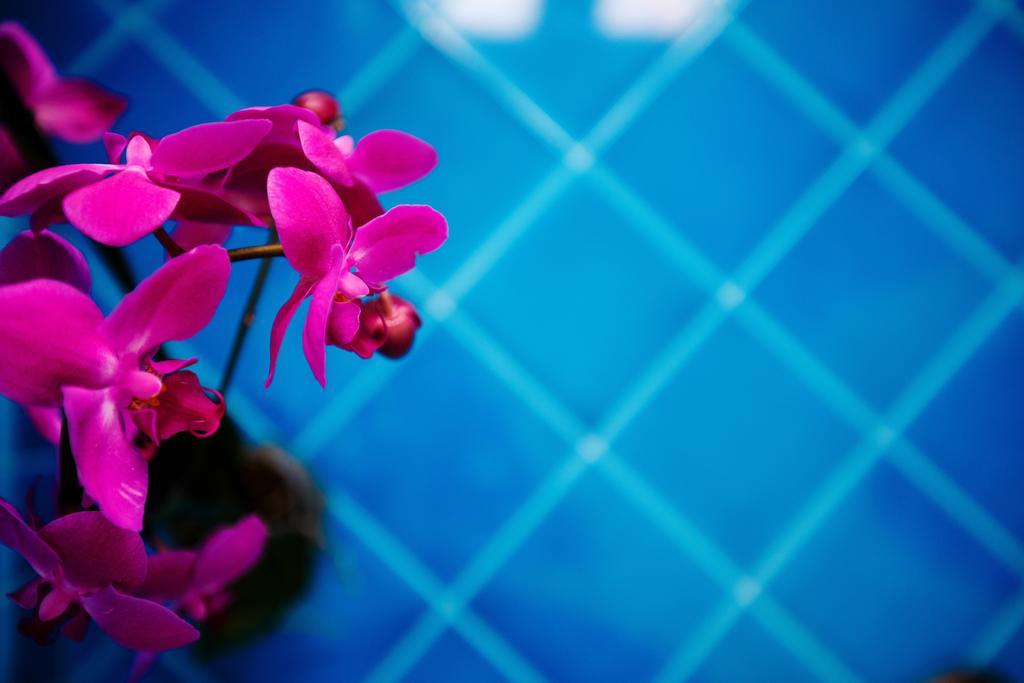 マッサ・ルブレンセ Relais Il Pennino Bed & Breakfast エクステリア 写真